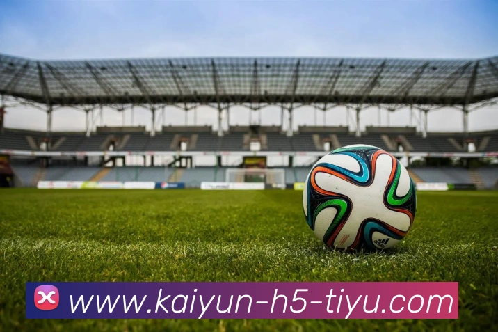 开云体育平台生态图